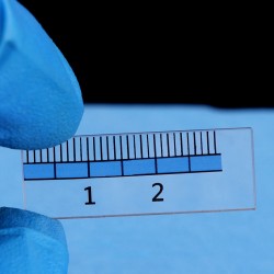 Quartz Measuring Ruler, QG24781